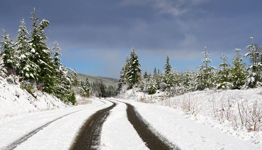 Snowy tire tracks leading up a mountain road.